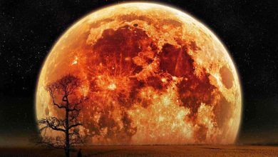 Photo of NASA’nın Kızıl Gezegen’e İnişinde “7 dakikada” Neler Yaşanacak?