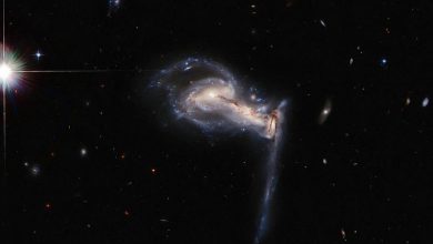 Photo of Hubble Uzay Teleskobu, “Kardeş Kavgasına Tutuşan” Galaksileri Görüntüledi