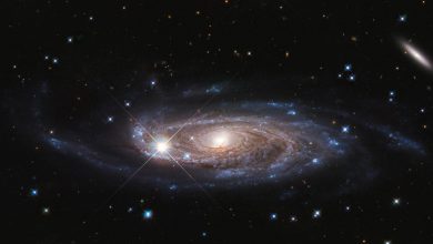 Photo of Hubble, Yerel evrenin bilinen en büyük galaksisini görüntüledi