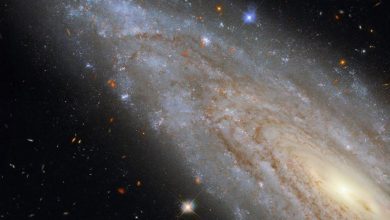 Photo of Bilim insanları: “Galaksiyi bir teleskop gibi kullanarak evrenin ilk zamanlarını gözlemliyoruz”