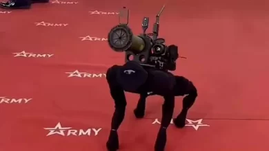Photo of Insider: “Rusya’nın roketatarlı robot köpeği oyuncak çıktı”