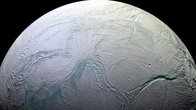 Photo of Bilim insanları: Satürn’ün Enceladus uydusunun yaşam barındırma ihtimali çok yüksek