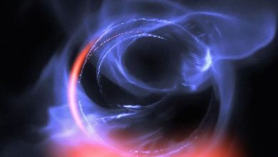 Photo of NASA, yıldız doğuran bir kara delik keşfetti