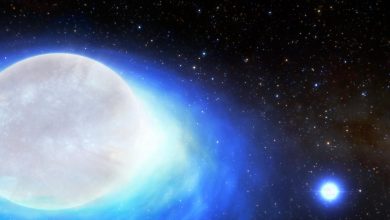 Photo of Bilim İnsanları: “Çok nadir olan bir çift yıldızlı sistem keşfedildi”