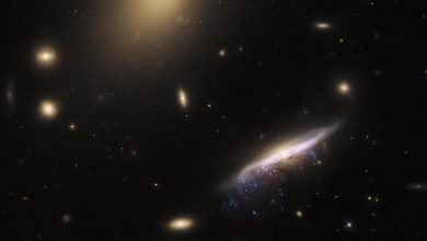 Photo of Hubble Uzay Teleskobu denizanası galaksisini görüntüledi