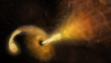 Photo of Bilim İnsanları: “Kara deliklerin yuttuğu yıldızların kalıntılarını nasıl attığı tespit edildi”
