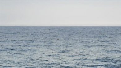 Photo of Türkiye, Bulgaristan ve Romanya’dan Karadeniz’deki mayınlara karşı anlaşma