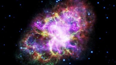 Photo of Süpernovanın erken evreleri ilk kez gözlemlendi