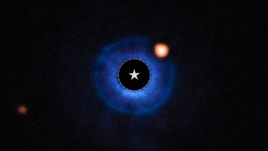 Photo of NASA’nın James Webb Uzay Teleskobu ilk ötegezegenini buldu