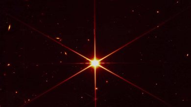 Photo of Bilim insanları: “Evrendeki en ‘saf’ yıldız keşfedildi”
