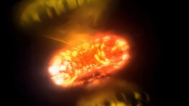 Photo of Yıldız patlamalarının ilk anları bugüne kadarki en net haliyle görüntülendi