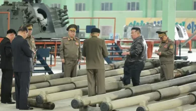 Photo of Kuzey Kore’den çok namlulu roketatar üretimini artırma kararı