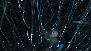 Photo of Milli Teknoloji Hamlesi: Türkiye dijital altyapısını nasıl güçlendiriyor?