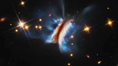 Photo of Hubble “Gezegen doğumevi”ni görüntüledi
